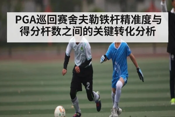 PGA巡回赛舍夫勒铁杆精准度与得分杆数之间的关键转化分析